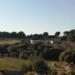 Lantgård Prendas De Sole Olbia