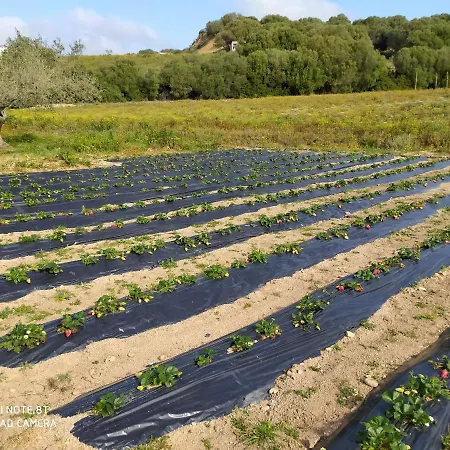 Farm stay Prendas De Sole Olbia